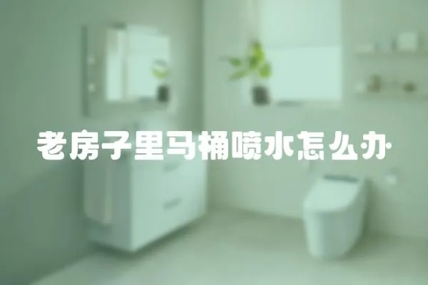 老房子里馬桶噴水怎么辦