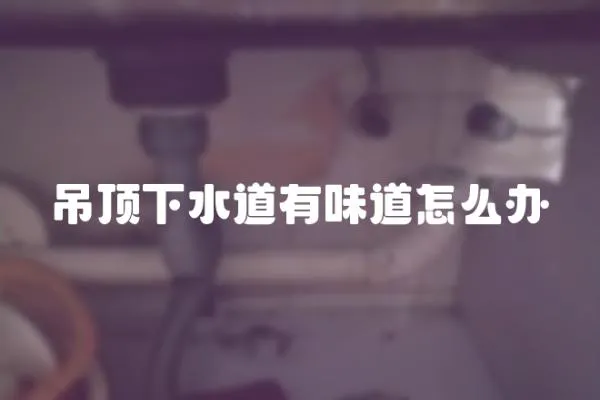 吊頂下水道有味道怎么辦