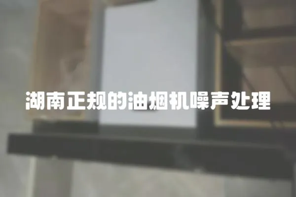 湖南正規(guī)的油煙機噪聲處理
