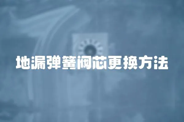 地漏彈簧閥芯更換方法