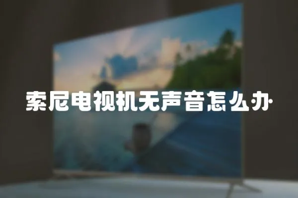 索尼電視機(jī)無聲音怎么辦