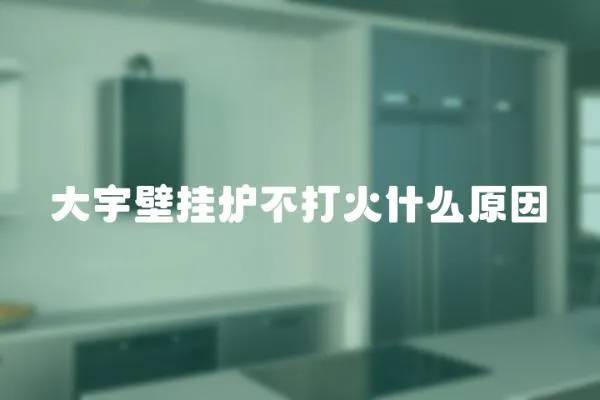 大宇壁掛爐不打火什么原因