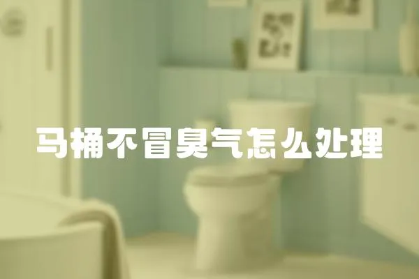馬桶不冒臭氣怎么處理