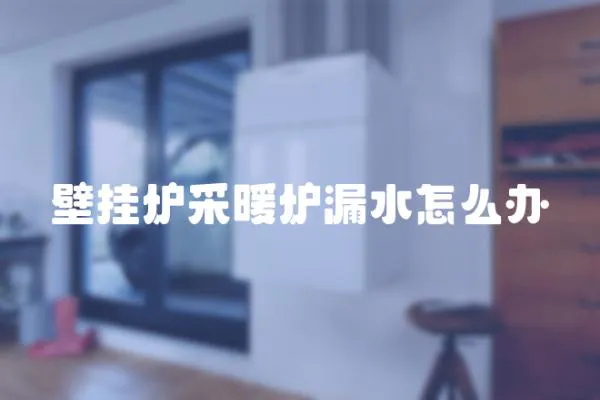 壁掛爐采暖爐漏水怎么辦