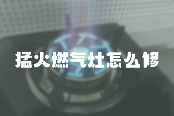 猛火燃氣灶怎么修