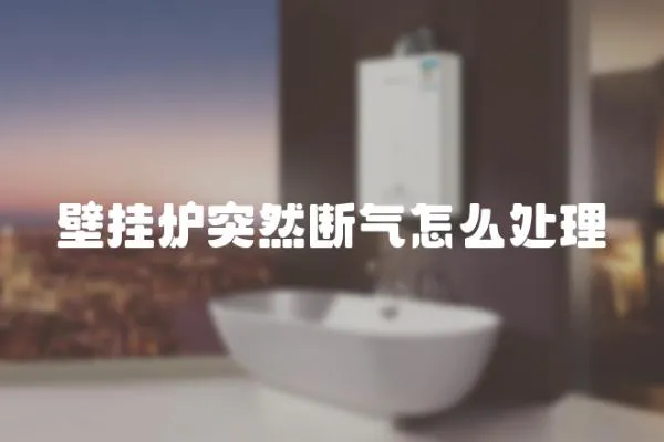 壁掛爐突然斷氣怎么處理