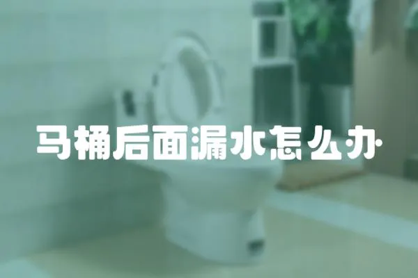 馬桶后面漏水怎么辦