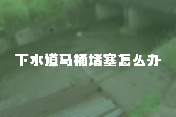 下水道馬桶堵塞怎么辦