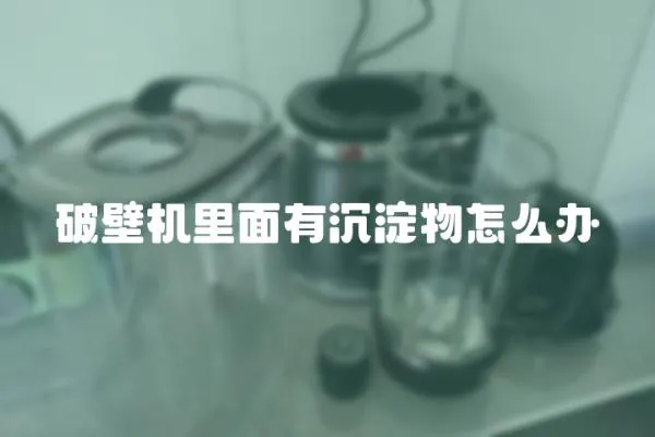 破壁機里面有沉淀物怎么辦
