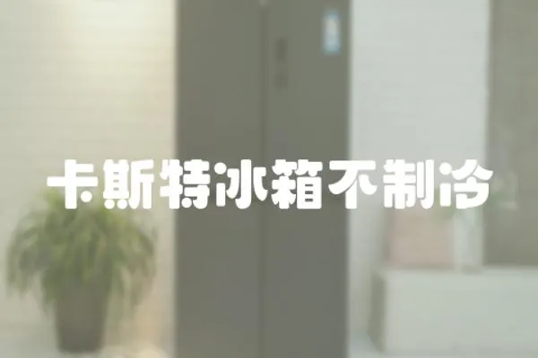 卡斯特冰箱不制冷