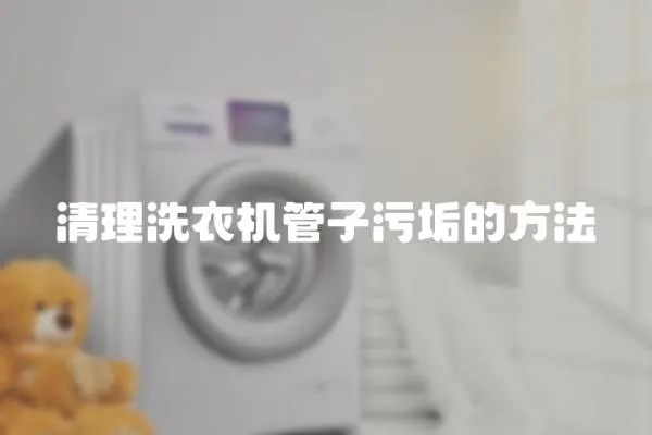 清理洗衣机管子污垢的方法