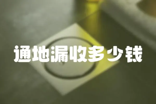 通地漏收多少錢