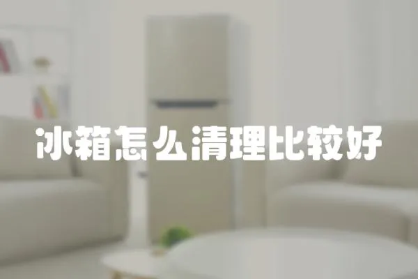 冰箱怎么清理比較好