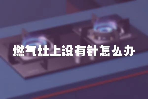 燃?xì)庠钌蠜](méi)有針怎么辦