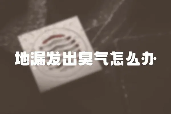 地漏發出臭氣怎么辦