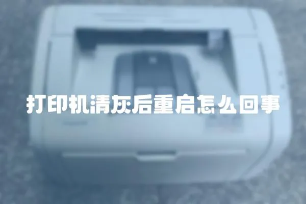 打印機清灰后重啟怎么回事