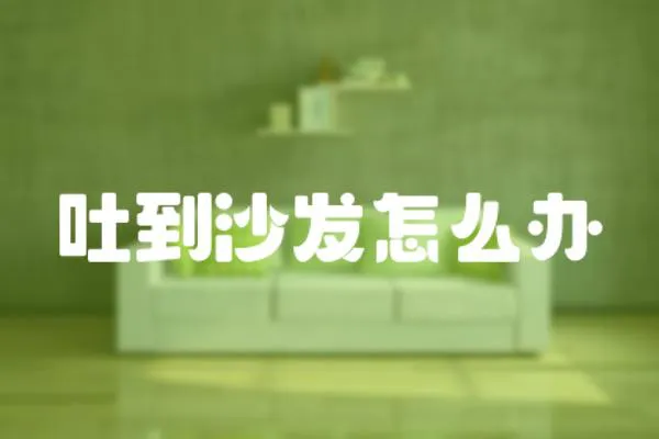 吐到沙發怎么辦