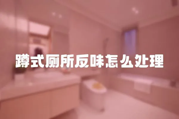 蹲式廁所反味怎么處理