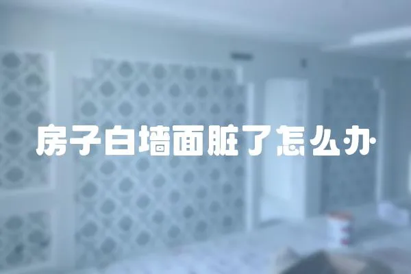 房子白墻面臟了怎么辦