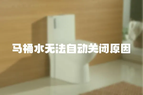 馬桶水無法自動關閉原因