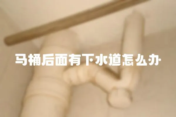 馬桶后面有下水道怎么辦