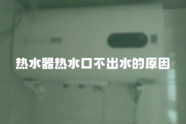 熱水器熱水口不出水的原因