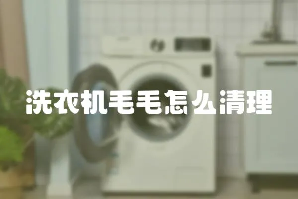 洗衣機(jī)毛毛怎么清理