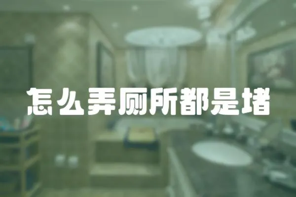 怎么弄廁所都是堵