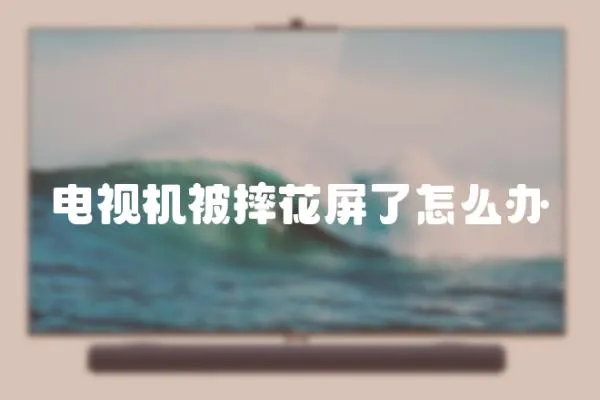 電視機被摔花屏了怎么辦