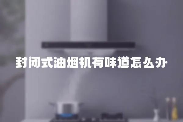 封閉式油煙機有味道怎么辦