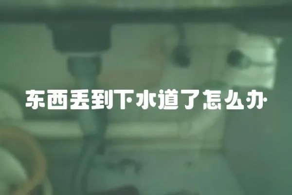 東西丟到下水道了怎么辦