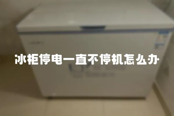 冰柜停電一直不停機怎么辦