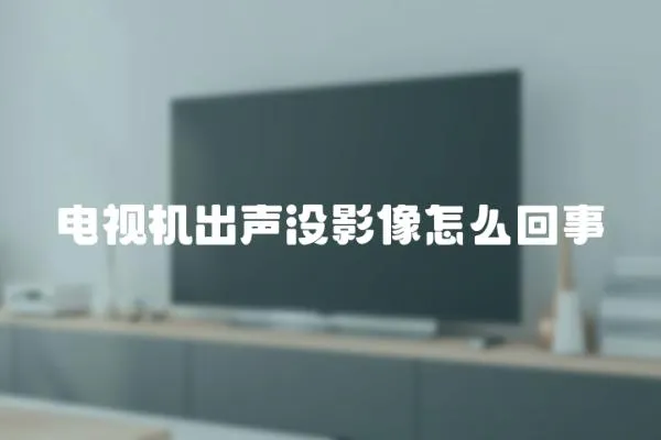 電視機出聲沒影像怎么回事