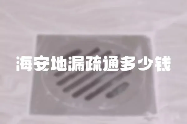 海安地漏疏通多少錢