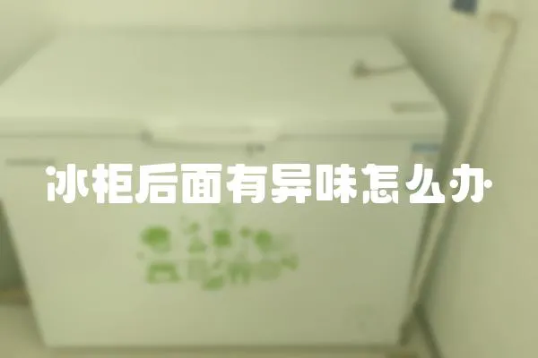 冰柜后面有异味怎么办