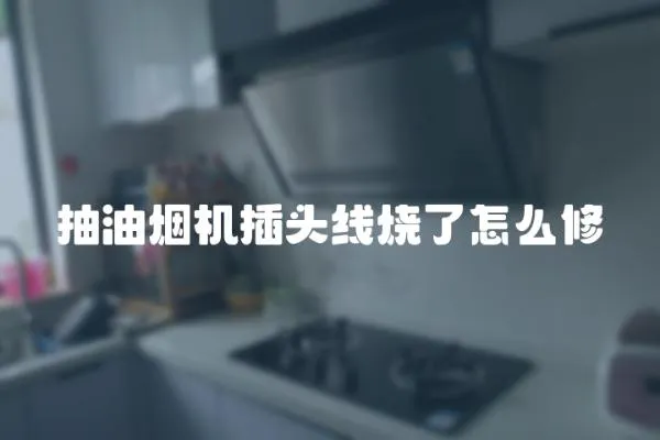 抽油煙機插頭線燒了怎么修