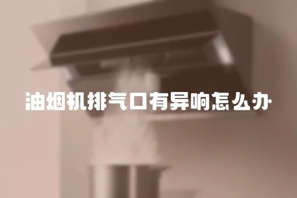 油煙機排氣口有異響怎么辦