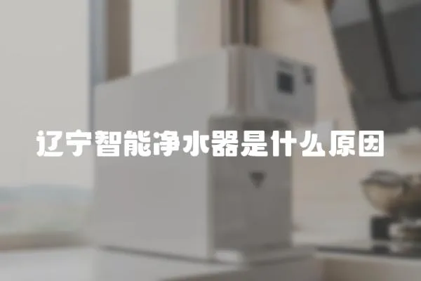 遼寧智能凈水器是什么原因