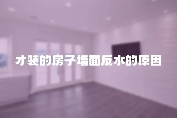 才裝的房子墻面反水的原因