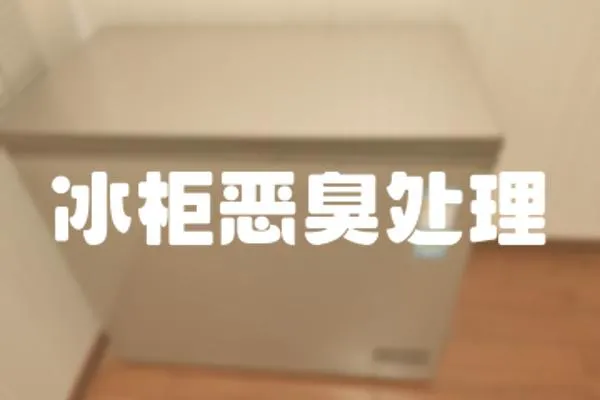 冰柜惡臭處理