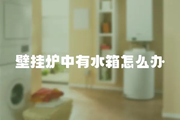壁掛爐中有水箱怎么辦