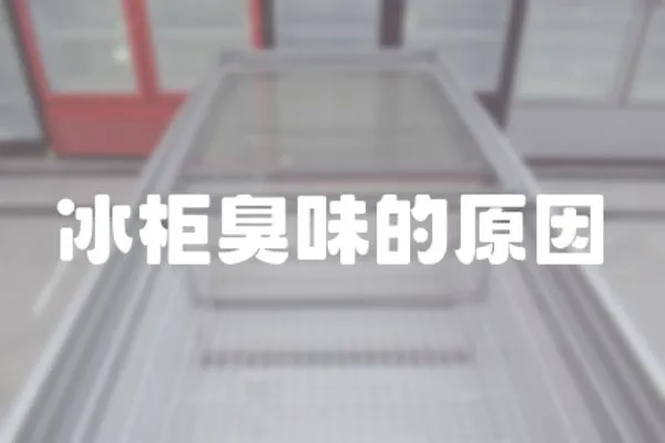 冰柜臭味的原因
