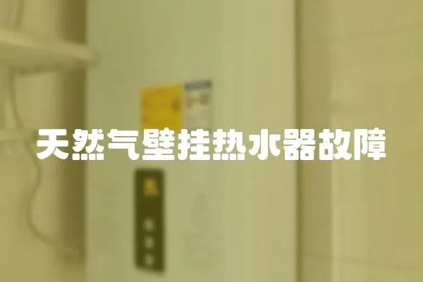 天然氣壁掛熱水器故障