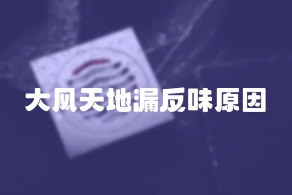 大風天地漏反味原因