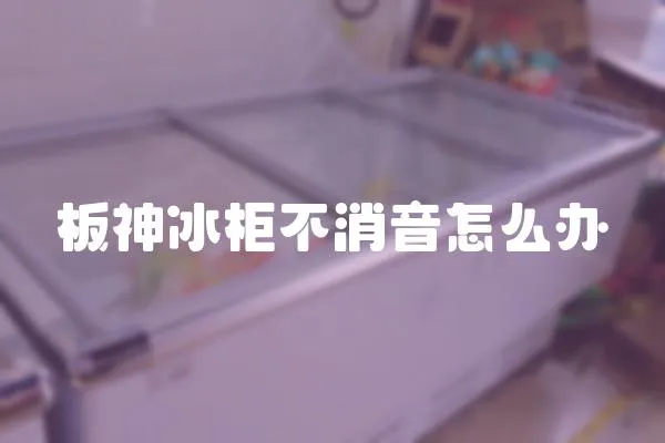 板神冰柜不消音怎么辦
