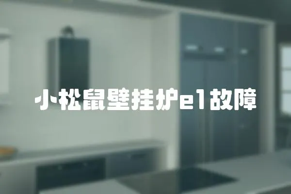 小松鼠壁掛爐e1故障