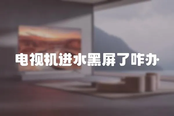電視機進水黑屏了咋辦