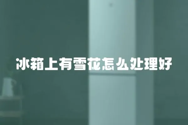 冰箱上有雪花怎么處理好