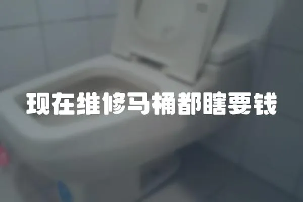 現在維修馬桶都瞎要錢