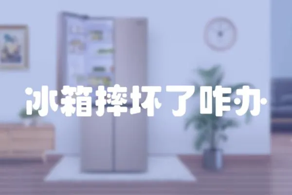 冰箱摔壞了咋辦
